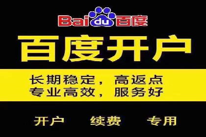 百度竞价排名案例分享：教育行业的成功推广